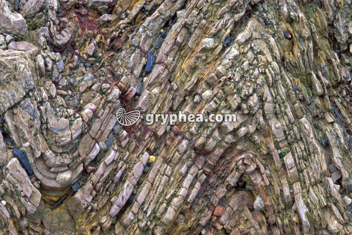 Microplis roches métamorphisées - gryphea.com